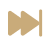 next icon